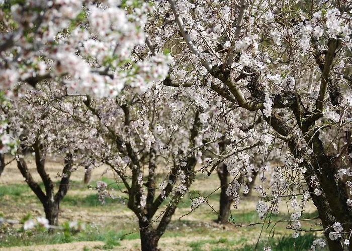 Hotell Casa Tejedor *